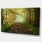 Designart - Suns Peeks into Forest - Landscape Photography Canvas Print
